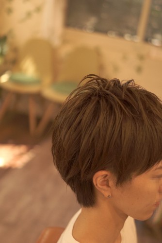 DSC04526のコピー2